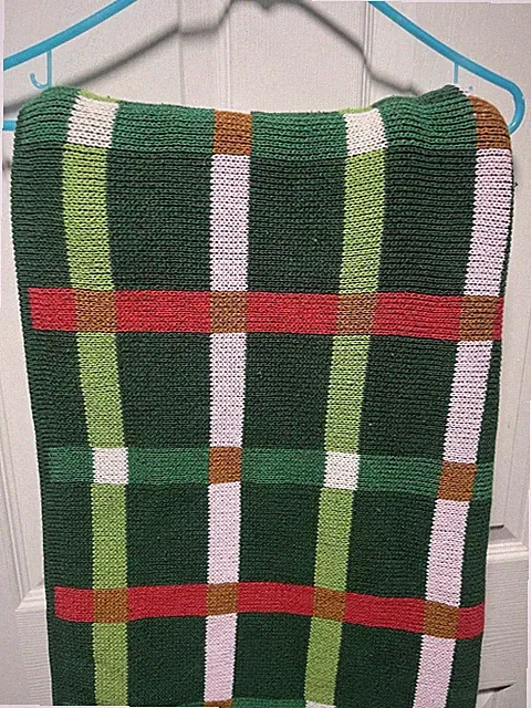 Ikea VINTERFINT Throw, Green/Multicolor, 100% Cotton, 51x67"